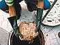 Reciclagem De leo Automotivo e Vegetal